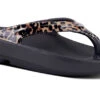 'OOFOS' Women's OOlala Thong Limited Edition - Black / Leopard -Sports Sale Store 1400Leopard shot2 1024x1024@2x