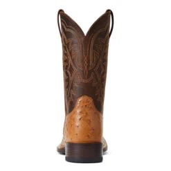 'Ariat' Men's 11" Night Life Ultra Western Square Toe - Ranger Smooth Quill Ostrich / Beam Brown 12 'Ariat' Men's 11" Night Life Ultra Western Square Toe - Ranger Smooth Quill Ostrich / Beam Brown -Sports Sale Store S22 MNS WEST 10040345 heel 1024x1024@2x